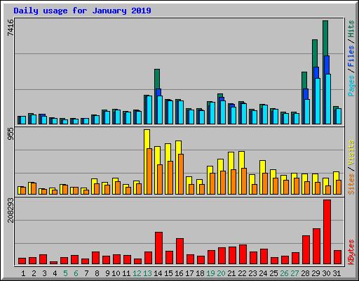 Daily usage for January 2019