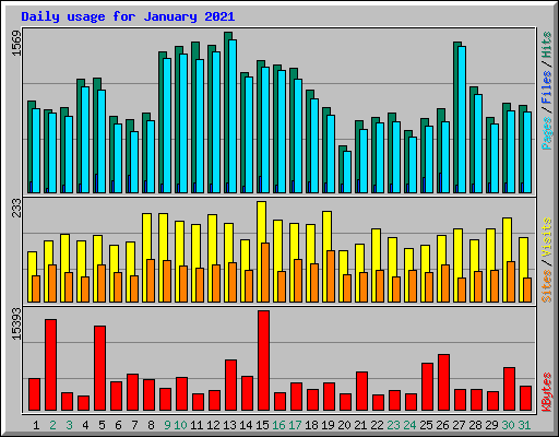 Daily usage for January 2021
