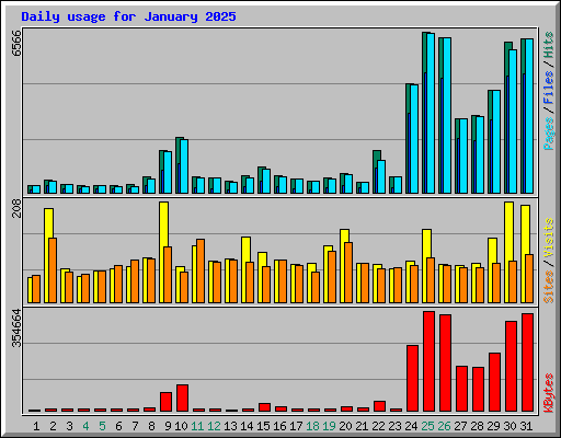 Daily usage for January 2025