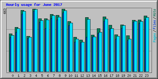Hourly usage for June 2017