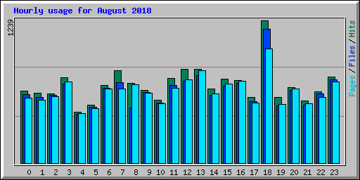 Hourly usage for August 2018