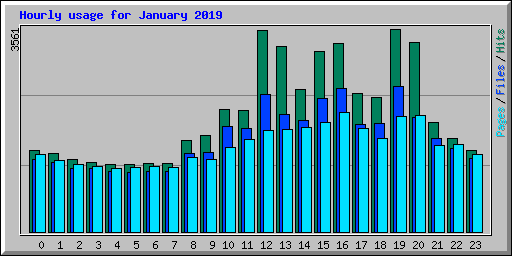 Hourly usage for January 2019