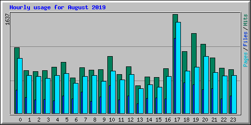 Hourly usage for August 2019