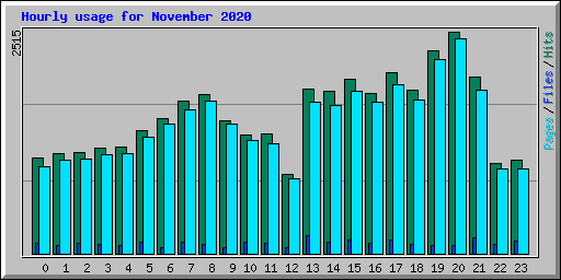 Hourly usage for November 2020