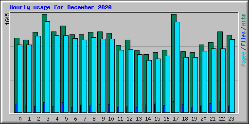 Hourly usage for December 2020