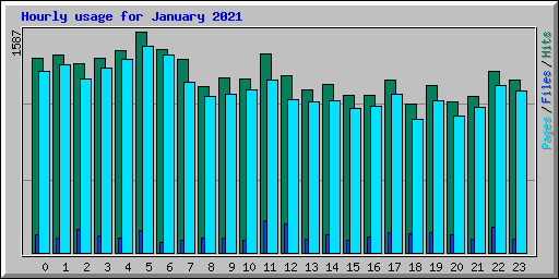 Hourly usage for January 2021