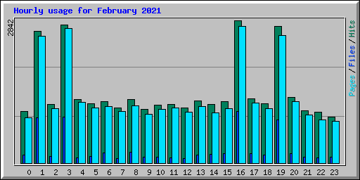 Hourly usage for February 2021