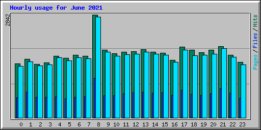 Hourly usage for June 2021