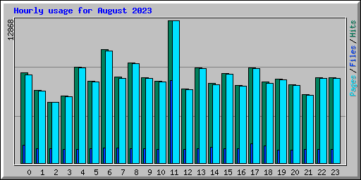 Hourly usage for August 2023