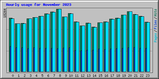 Hourly usage for November 2023