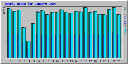 Hourly usage for January 2024