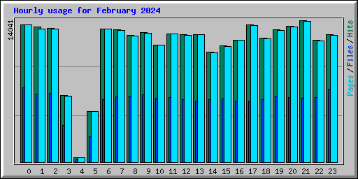 Hourly usage for February 2024