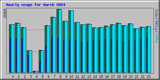 Hourly usage for March 2024