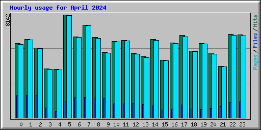 Hourly usage for April 2024