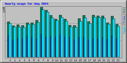 Hourly usage for May 2024