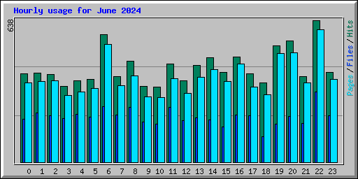 Hourly usage for June 2024