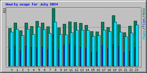 Hourly usage for July 2024