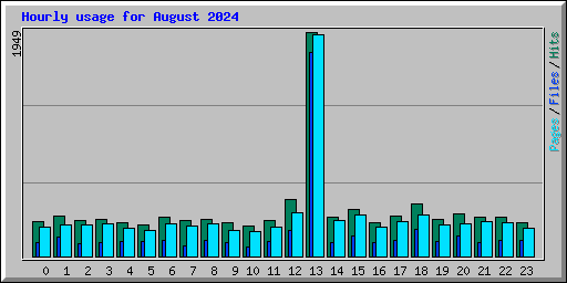 Hourly usage for August 2024