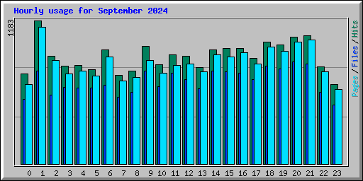 Hourly usage for September 2024