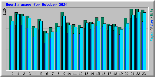 Hourly usage for October 2024
