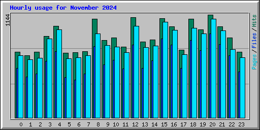 Hourly usage for November 2024