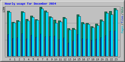 Hourly usage for December 2024