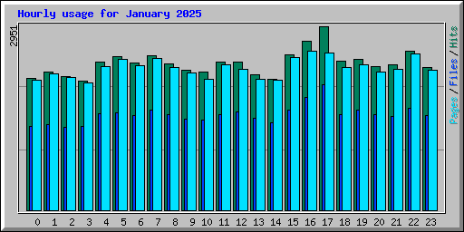 Hourly usage for January 2025