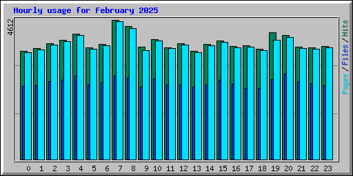 Hourly usage for February 2025