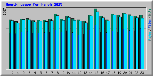 Hourly usage for March 2025