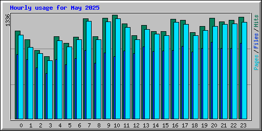 Hourly usage for May 2025