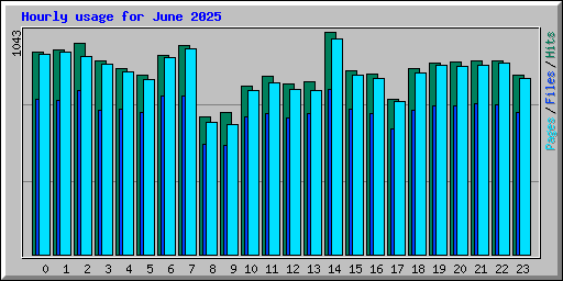 Hourly usage for June 2025