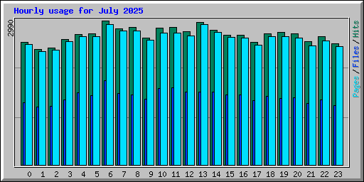 Hourly usage for July 2025