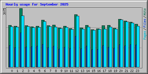 Hourly usage for September 2025