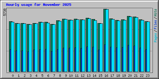Hourly usage for November 2025
