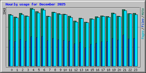 Hourly usage for December 2025