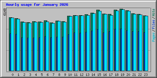 Hourly usage for January 2026