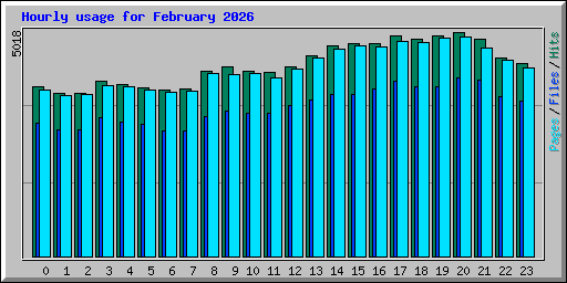 Hourly usage for February 2026