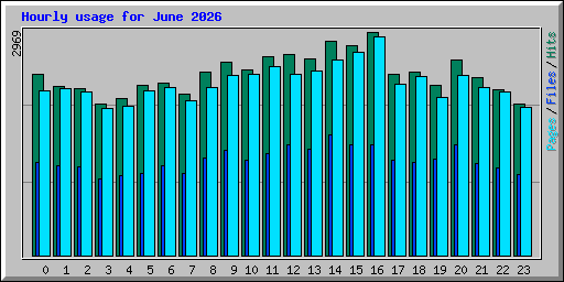 Hourly usage for June 2026